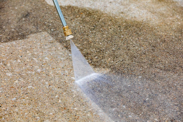 Best Driveway Pressure Washing  in Colonial Beach, VA